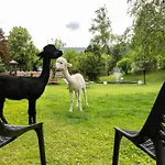 Wilder Kaiser 4* Oberaudorf